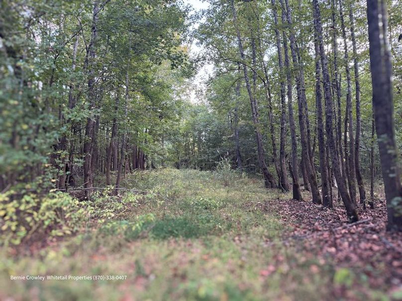 DeSoto 329 Prewett (Thompson) -03