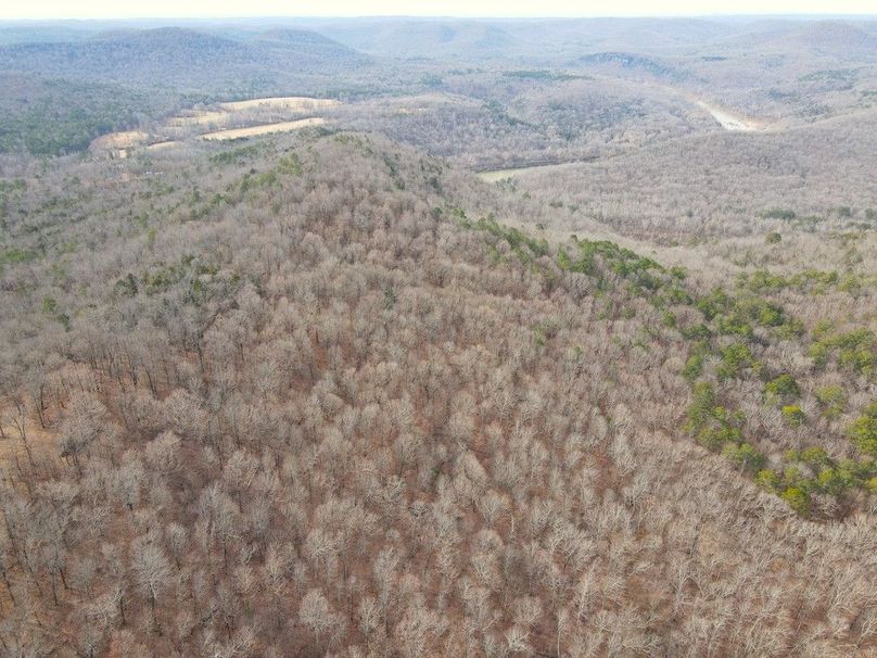 DJI_0666