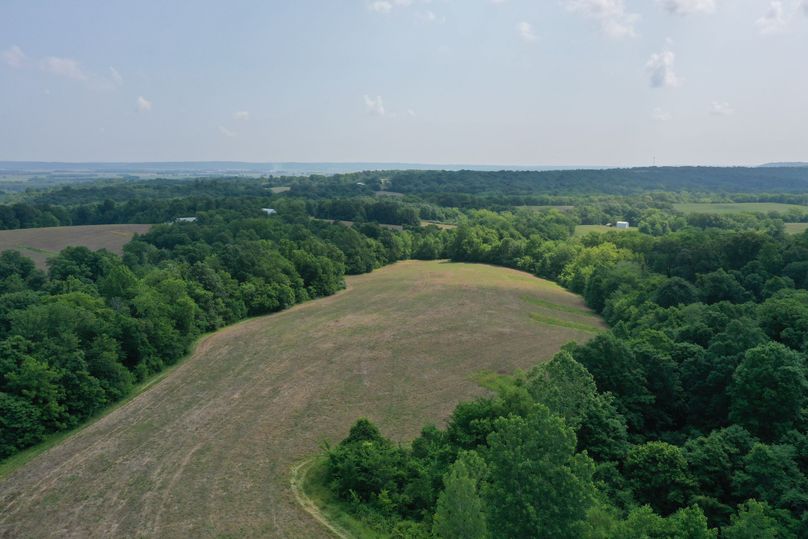 DJI_0344