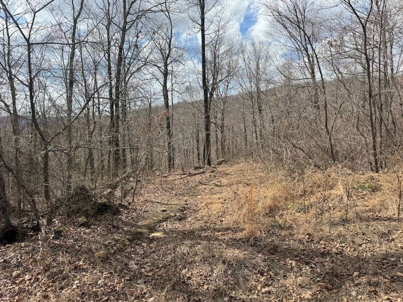 stone8020260306_0079