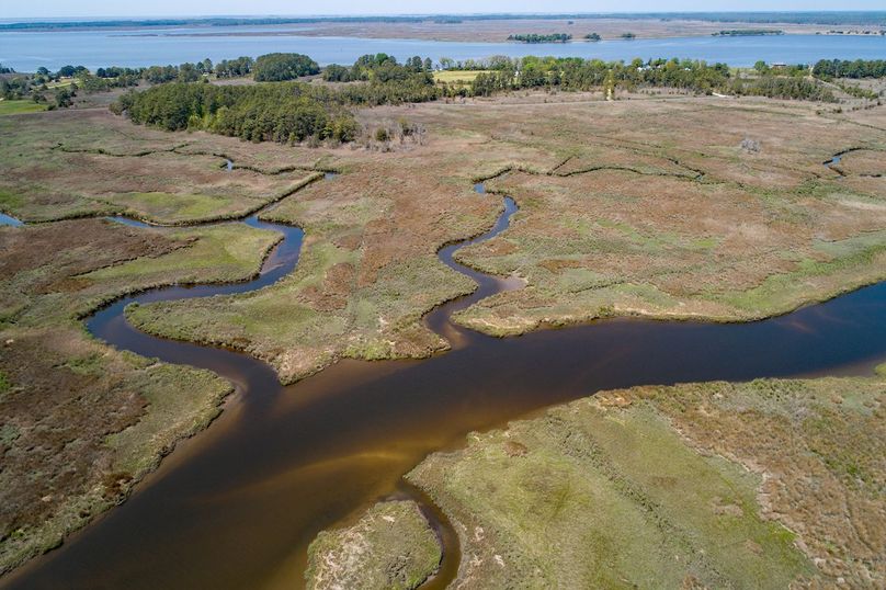 DJI_0187240428-ZF-0713-72000-1-001-004