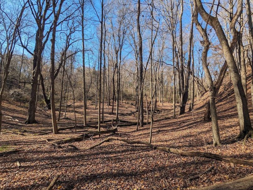 eyJidWNrZXQiOiJ3cHNpdGUtc3RhZ2UiLCJrZXkiOiJsaXN0aW5nc1wvWURGT1paVjZVSE1tb21PbGZtbFc3NkNCUVJocVpkUmo4T1ZpVl...iZml0IjoiaW5zaWRlIiwicG9zaXRpb24iOiJjZW50ZXIifSwicm90YXRlIjpudWxsfSwidXBkYXRlZCI6IjIwMjMtMTItMTJUMjI6MTk6MTAuMDAwMDAwWiJ9