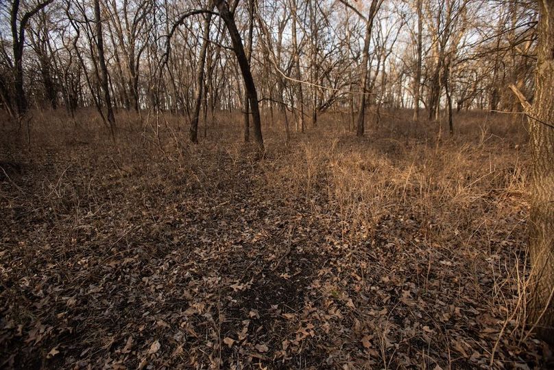 PAGE CO IA 130+_-_38