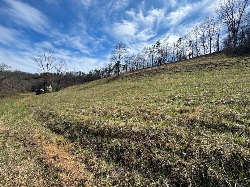 042 endless views of the fields