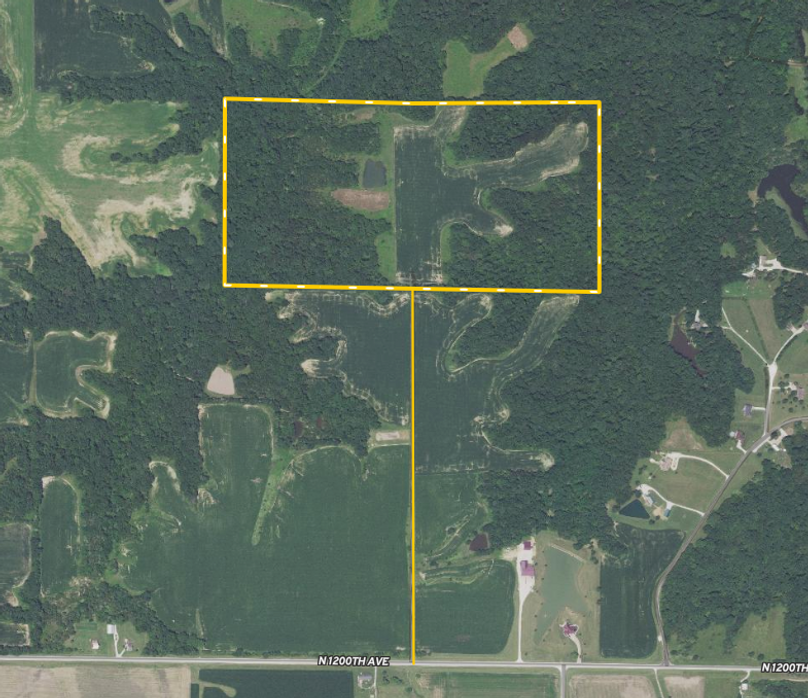 Screen Shot 2023-11-12 at 8.51.32 PM