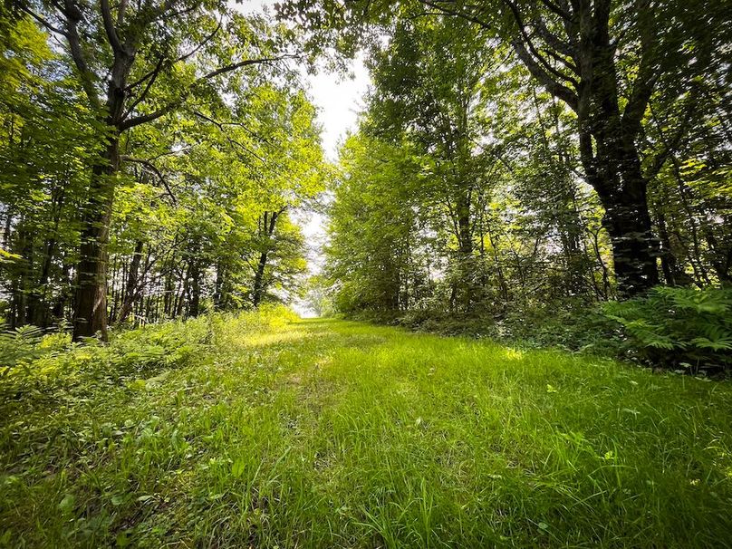 Oswego_21.25-Paro_Photos_19