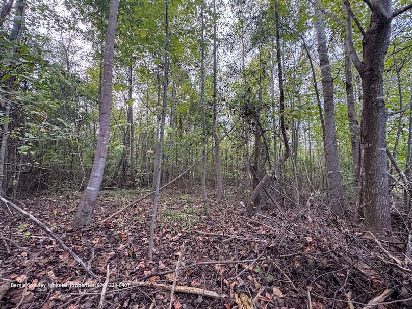 DeSoto 329 Prewett (Thompson) -26