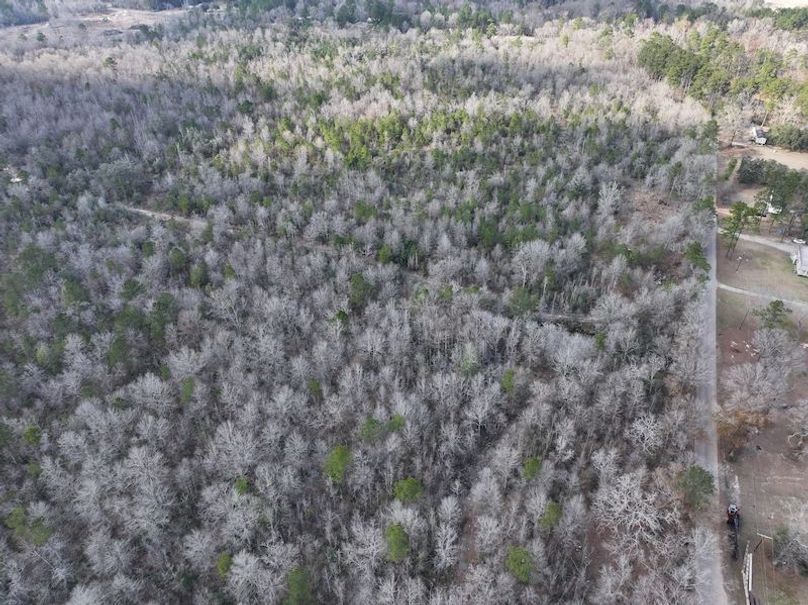 dji_fly_20260212_140324_0051_1771284245057_photo