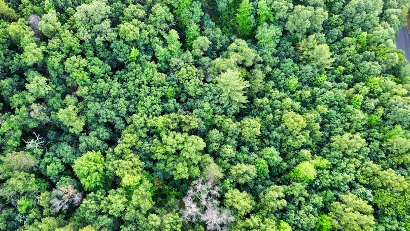 dji_fly_20250624_195534_892_1750813802267_photo_optimized