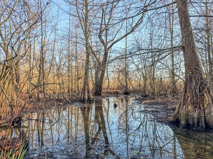 St. Francis 138.5 Calvin Parker Farms Profile -22