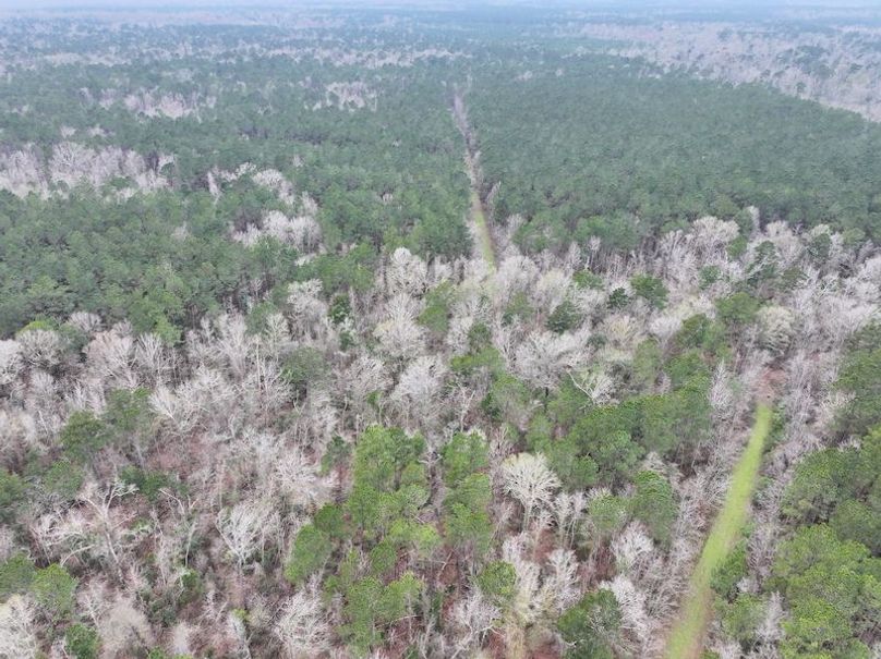 dji_fly_20260123_131714_0940_1769444773976_photo