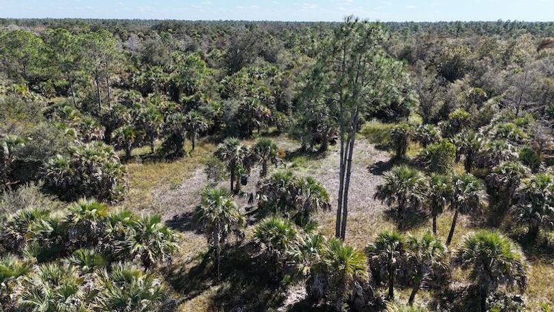 DJI_20251121122115_0020_D