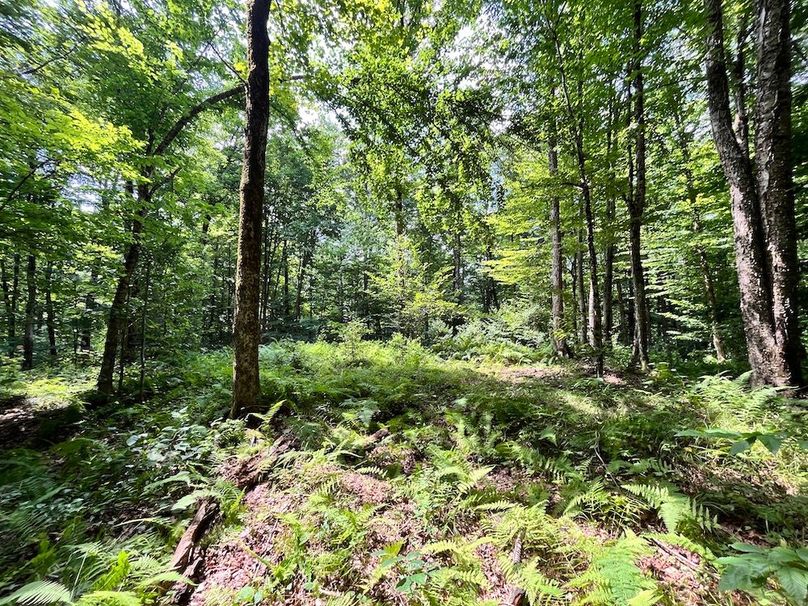 Oswego_133.72_Middleton_Photos_55