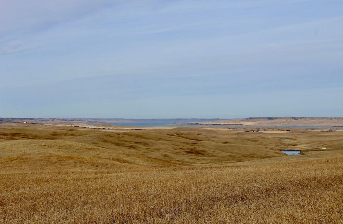 4_Tract_5_Lake_View
