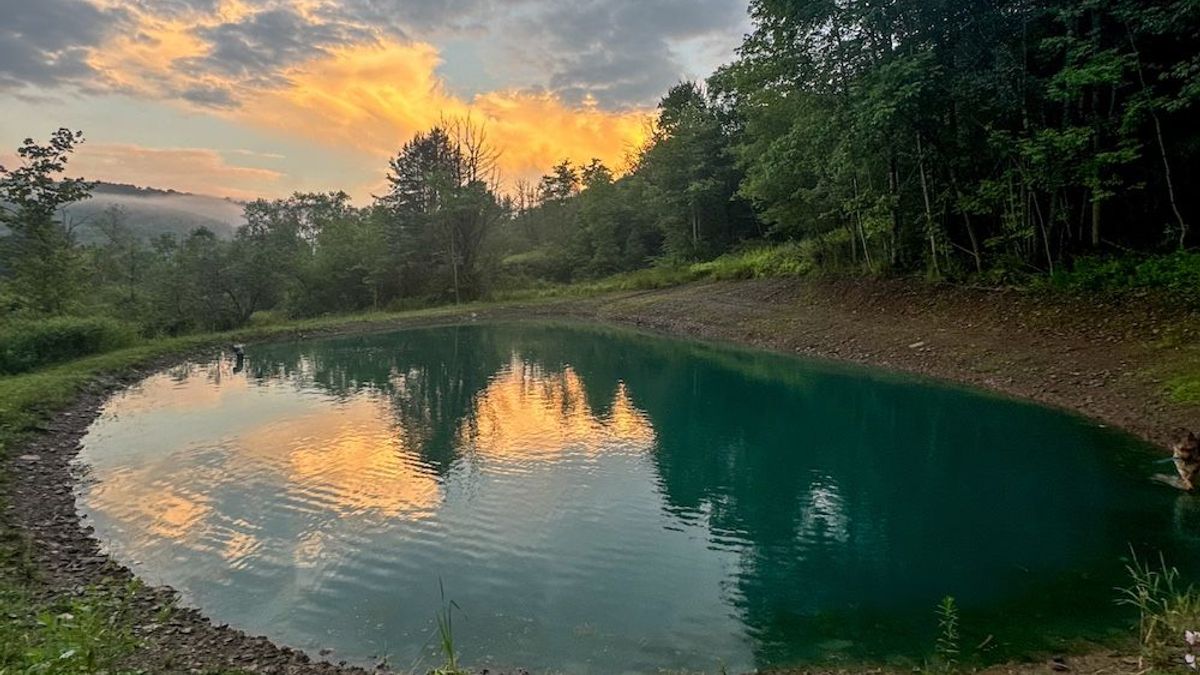 34+/- Acre Recreational Land With Pond, Trails And Views | Whitetail ...