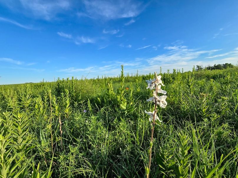 Copy of 20250625_071505