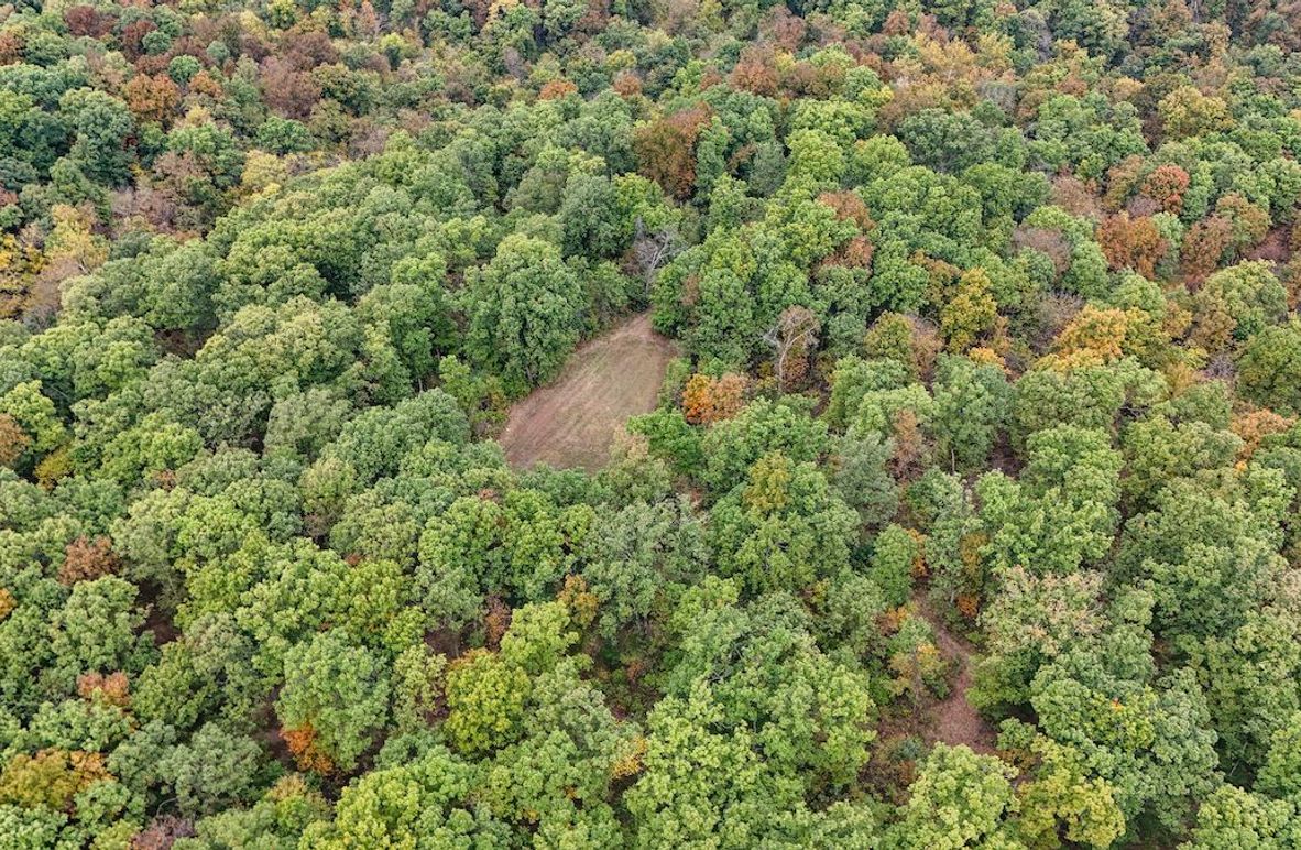 DJI_20251016093046_0071_D