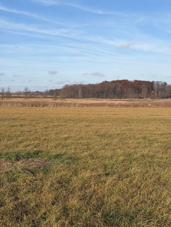 C52585DA-007F-4BB5-9ED5-44517E187092_1_105_c-2