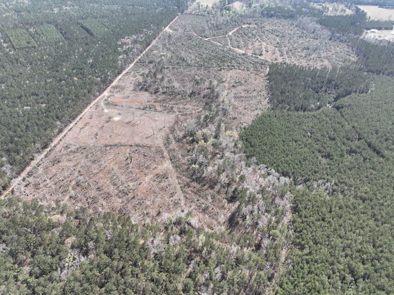 dji_fly_20260303_140400_306_1772637915452_photo