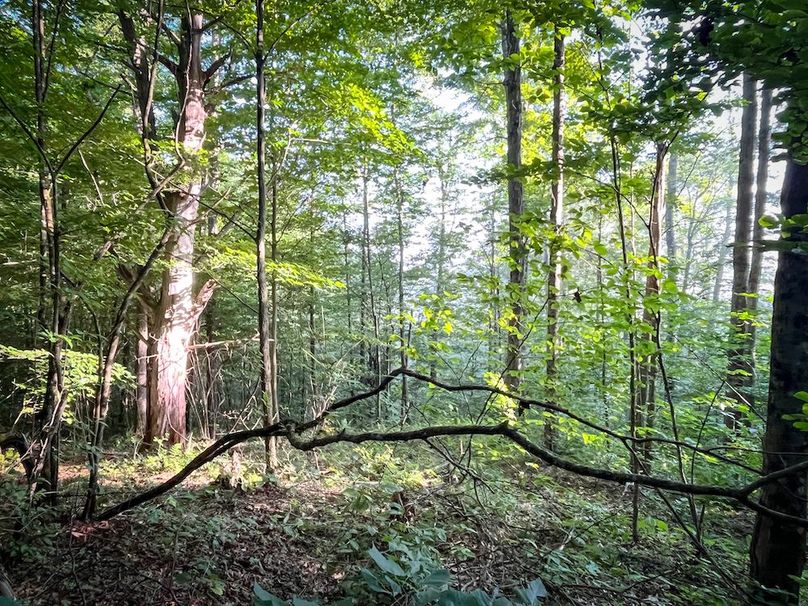 Tioga_82.5_Williams_Photos_16