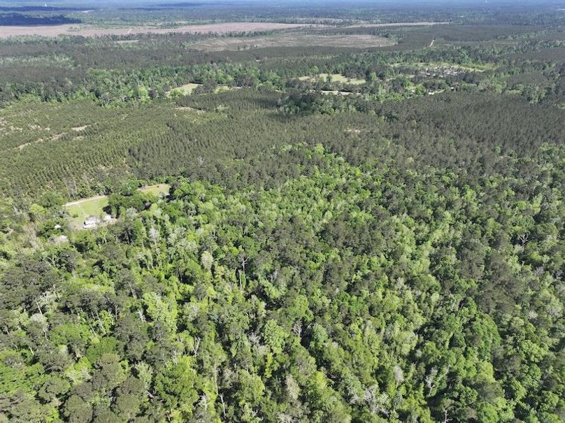 dji_fly_20260408_140914_0071_1776086821123_photo