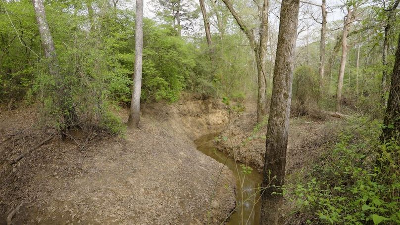 Marion TX 143 and 117 Featured_WEB.00_04_18_06.Still005