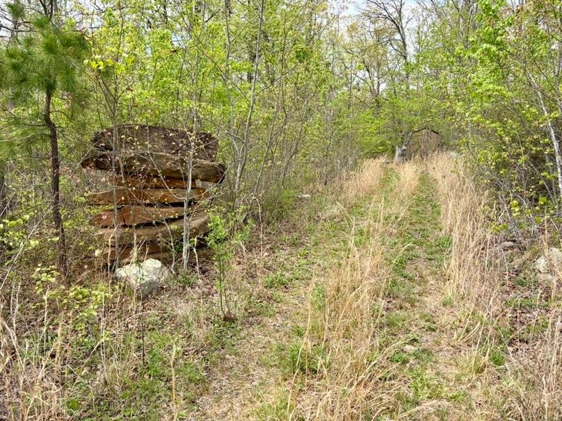 123FCB5A-68AA-4B33-A132-0FCD492567D6_1_105_c-2