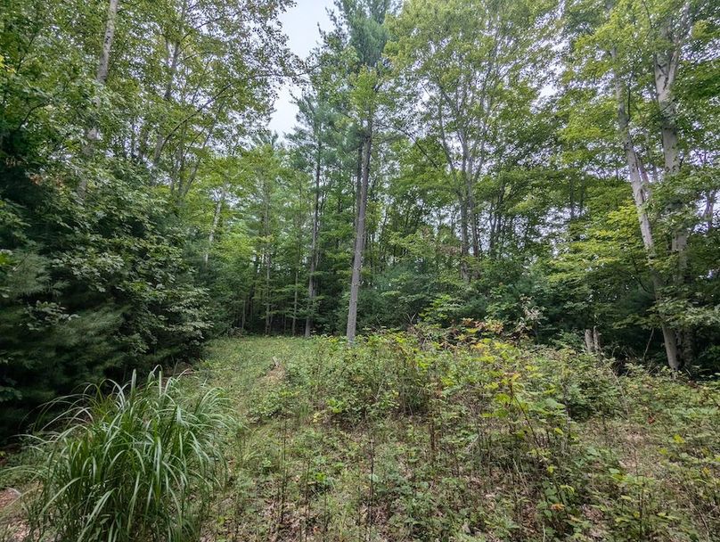 PXL_20240819_151619213