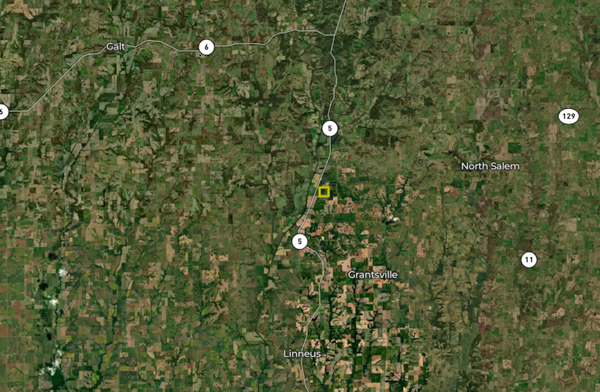 Screenshot 2026-03-19 at 2.11.27 PM