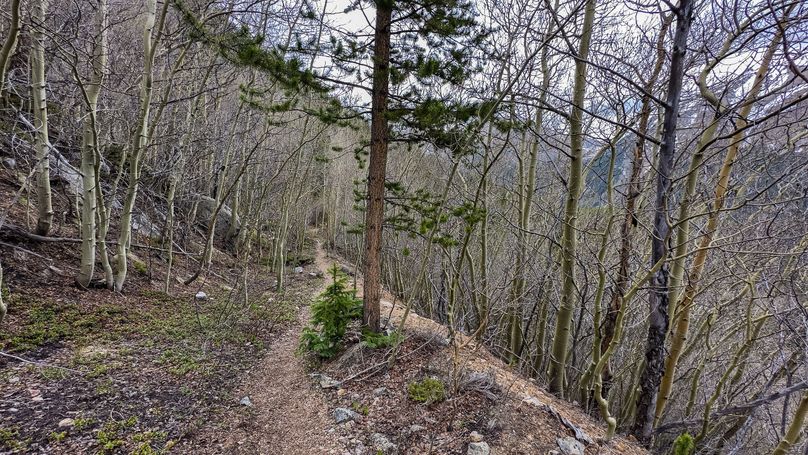 Lake 51.63 - 007 Trail