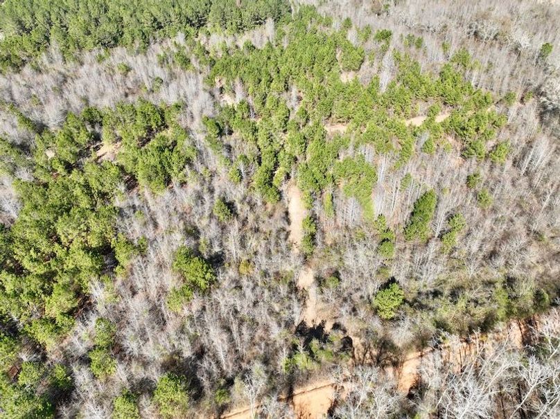 dji_fly_20260213_144502_346_1771012087016_photo