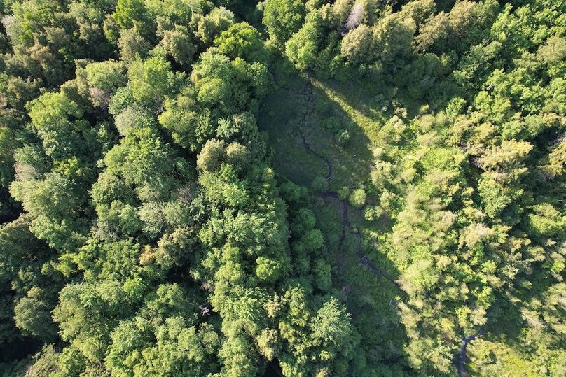 Jefferson_260.3_ Lobach_Photos_65