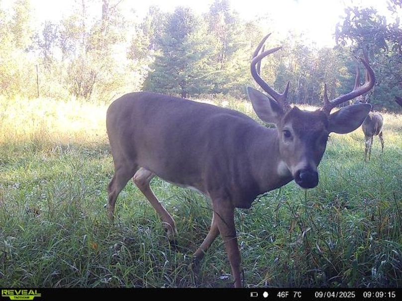 868032063267862-10-4-09042025090914-W1041974