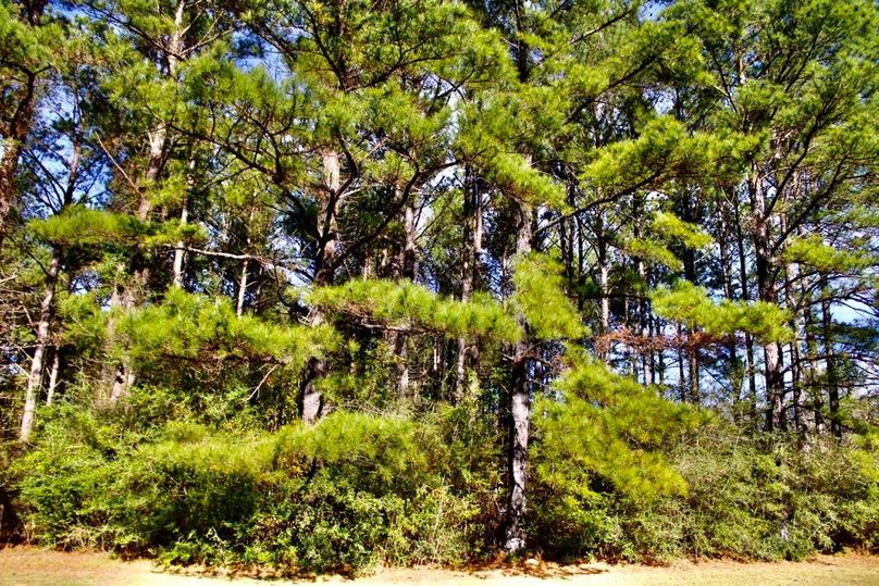 D49F9564-9393-4F09-92B6-E8293BB4BC04_1_201_a-2