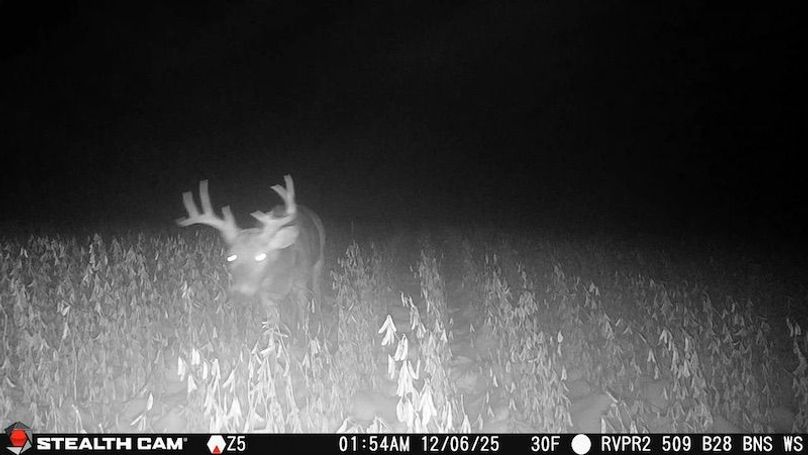 2025120601545201005617_ColorizationType.none