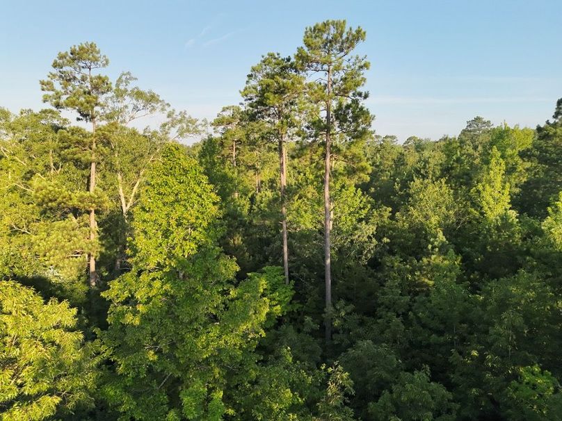 DJI_20250627071819_0023_V