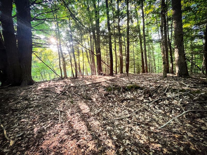 Oswego_25.66_Pettit_Photos_26