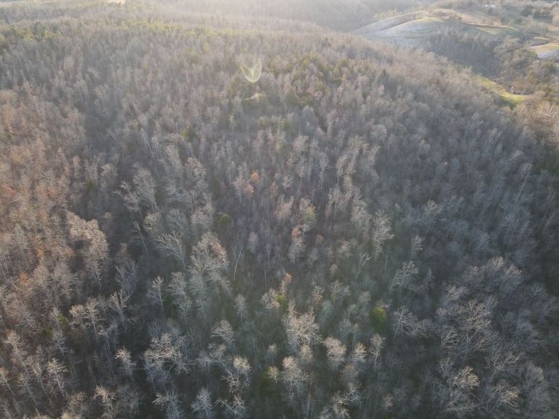 DJI_0314