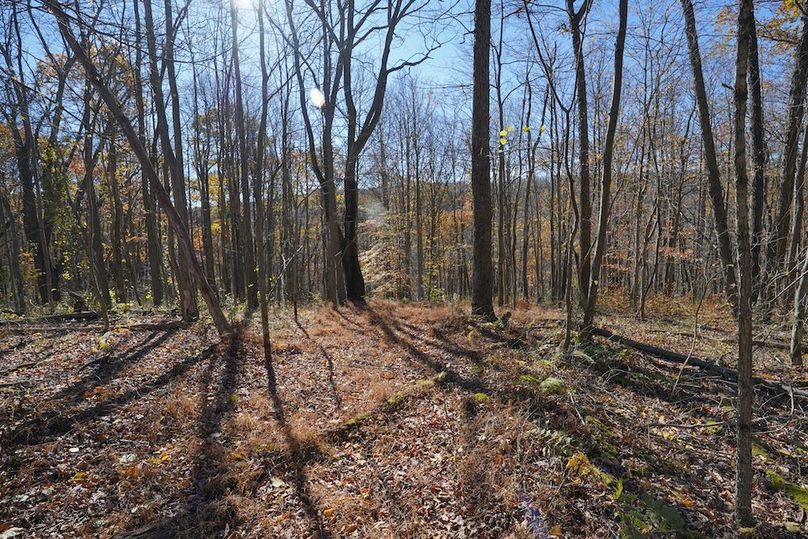 Somerset, 10.91, Tinkey-46