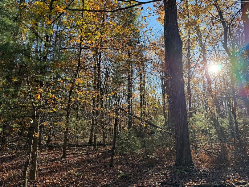 Oswego_26.28_Koehler Photo 21