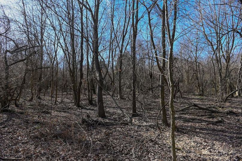 vandalia 450 (2)-1690