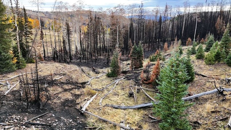 DJI_20250927082756_0034_D