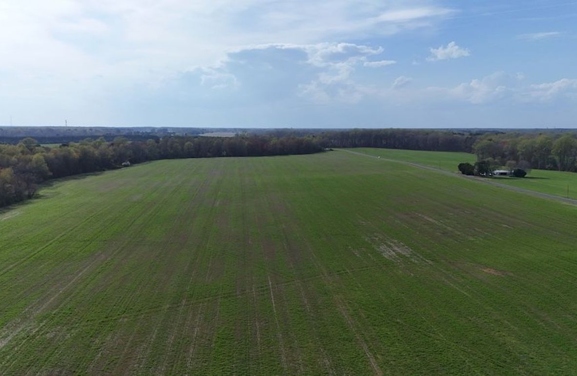 4_dji_fly_20260401_163310_0064_1775137458740_photo