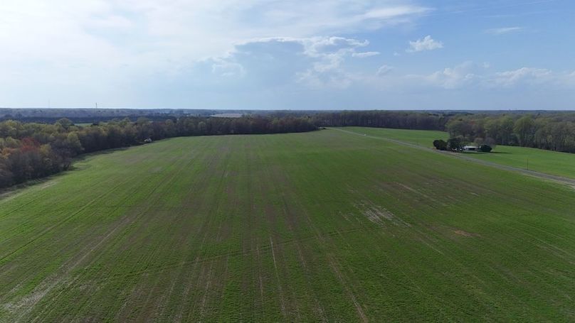 4_dji_fly_20260401_163310_0064_1775137458740_photo