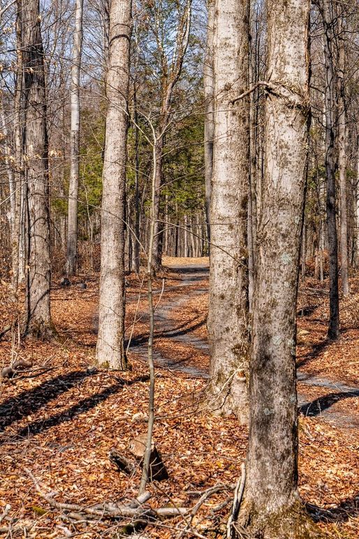 86-web-or-mls-IMG-86