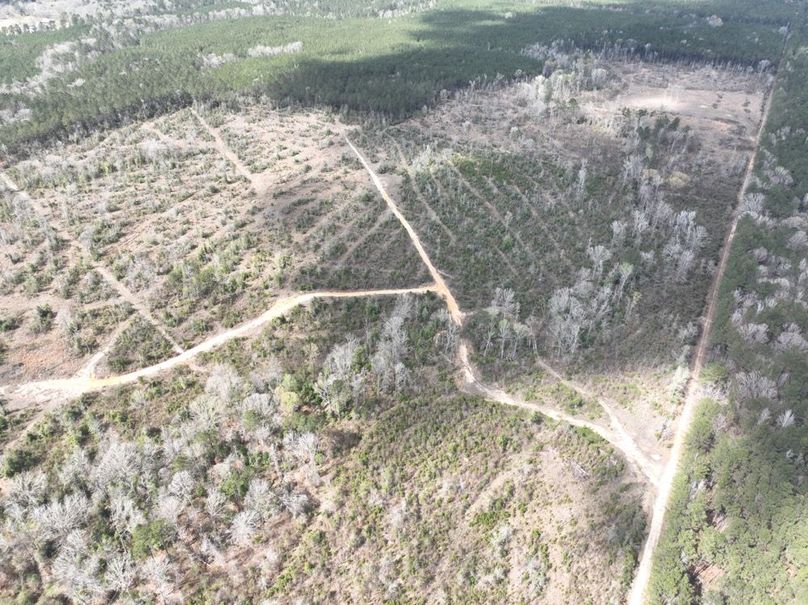 dji_fly_20260303_140042_293_1772637948173_photo