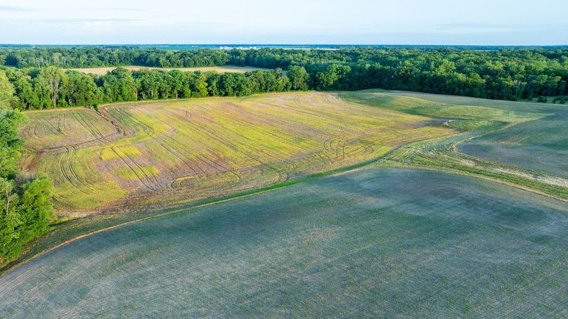 DJI_20250711172904_0037_D