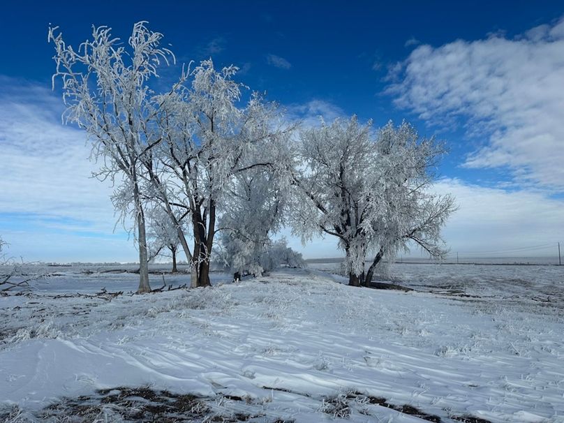 D837A704-2A06-4E7D-9358-AE68634F2A78_1_105_c