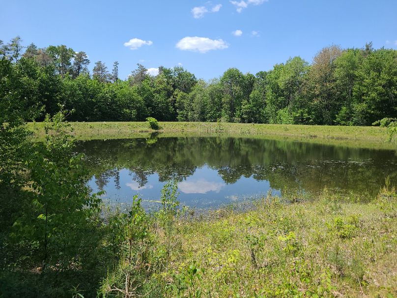 photo_9d37d00d-207e-40c4-a61f-74c53c18d0ae