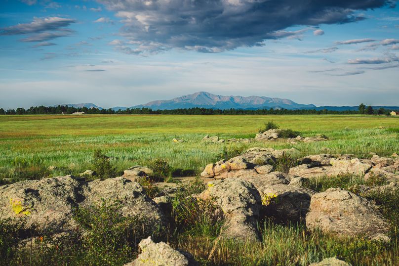 Douglas CO 35 Prettyman - 08